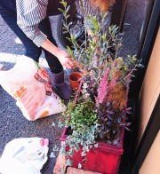 ・・・🌲Olive🌲・・・