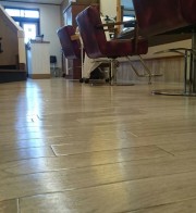 大掃除＼(゜ロ＼)(／ロ゜)／