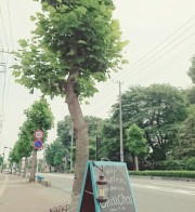 夏に向けて～ヾ(≧▽≦)ﾉ