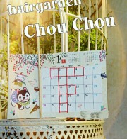 Chou Chouも新年がスタートしました！！＆１月のお休みのお知らせです