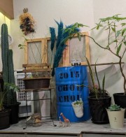 新しい仲間たちが増えました！！