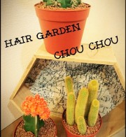 Chou Chouの植物たち🌲