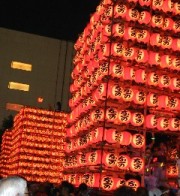 今週と来週は～(≧▽≦)