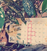 🍁10月のお休みのお知らせです🍁