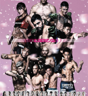 RIZIN  LANDMARK  9  in KOBE大会　ライヴ中継やります