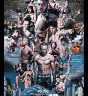 9/29 RIZIN.48 LIVE配信やります👊