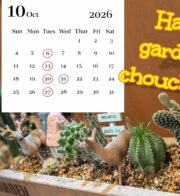 10月のお休み